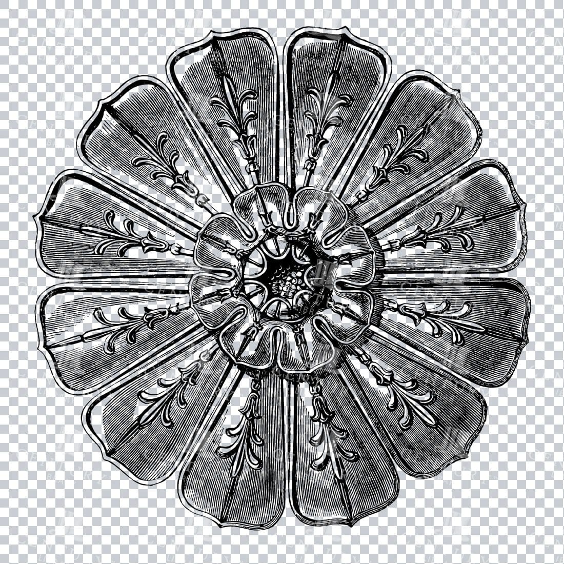 Antique Line Art Illustration of a Decorative Flower Head