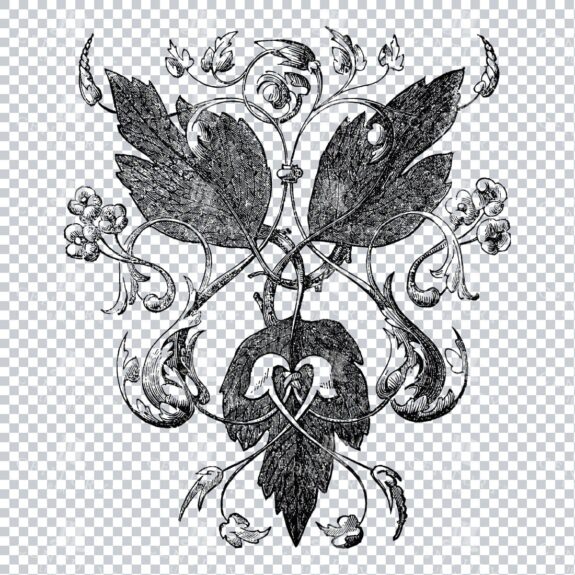 Vintage Decorative Line Art Illustration - Floral - Border - Frame - Pattern No.3