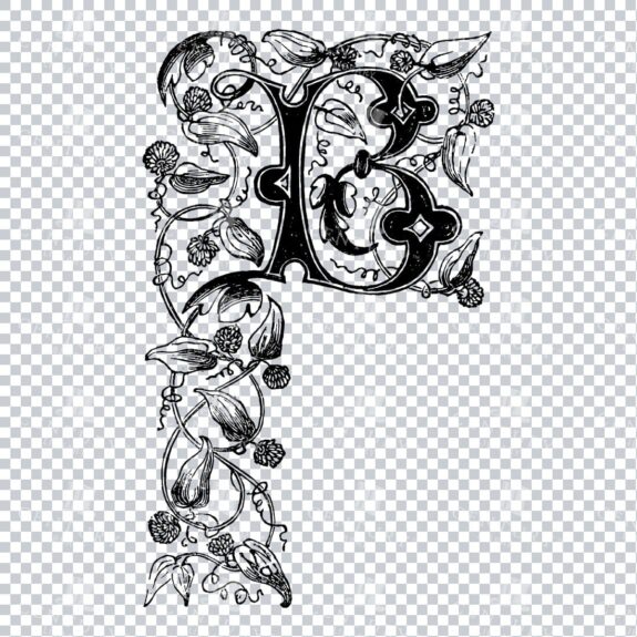 Vintage Decorative Drop Capital B