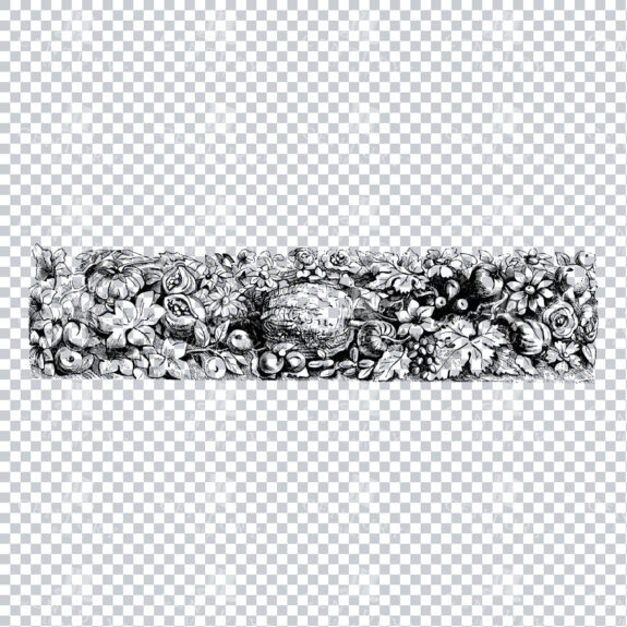 Vintage Decorative Line Art Illustration - Floral - Border - Frame - Pattern No.25