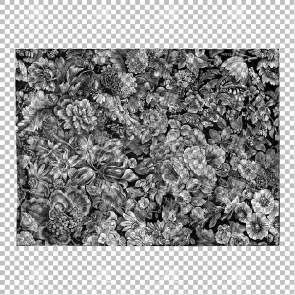 Vintage Decorative Line Art Illustration - Floral - Border - Frame - Pattern No.40
