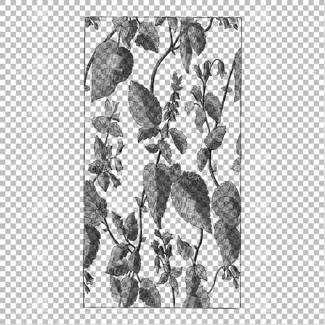 Vintage Decorative Line Art Illustration - Floral - Border - Frame - Pattern No.54