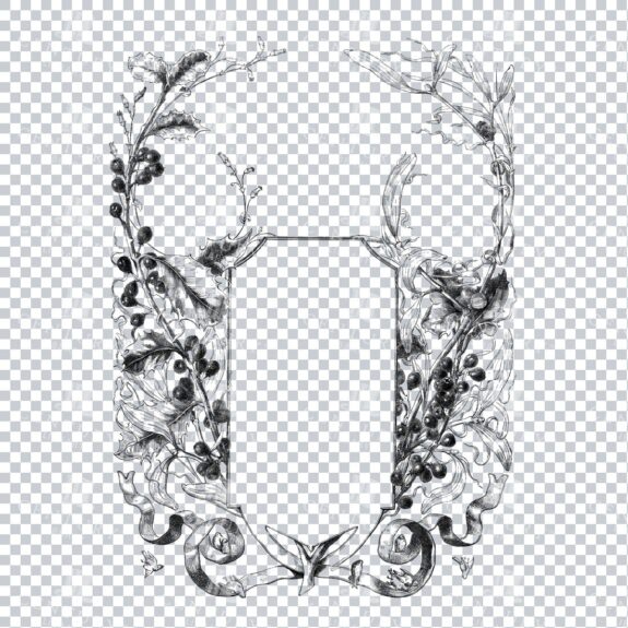 Vintage Decorative Line Art Illustration - Floral - Border - Frame - Pattern No.75