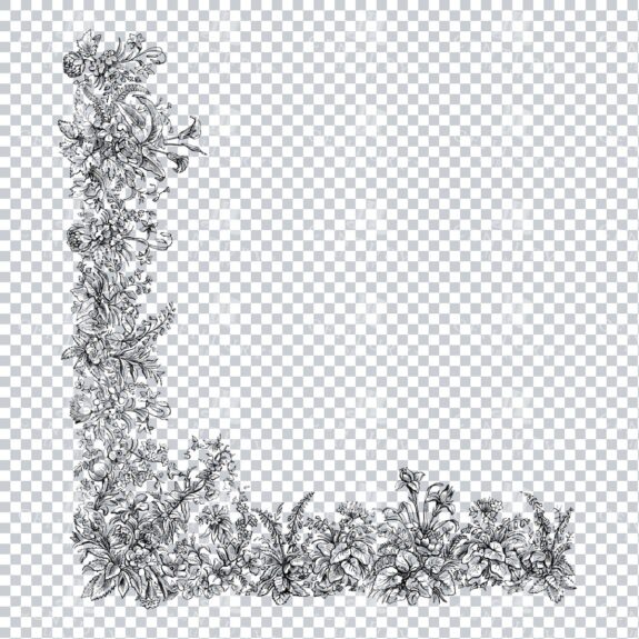 Vintage Decorative Line Art Illustration - Floral - Border - Frame - Pattern No.76