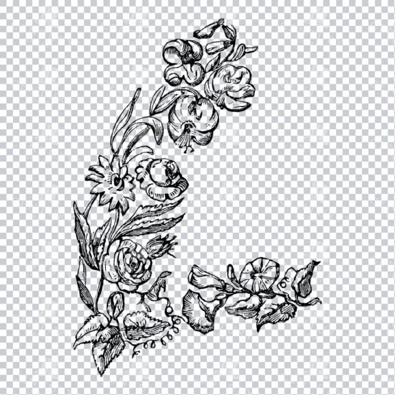 Vintage Decorative Line Art Illustration - Floral - Border - Frame - Pattern No.88