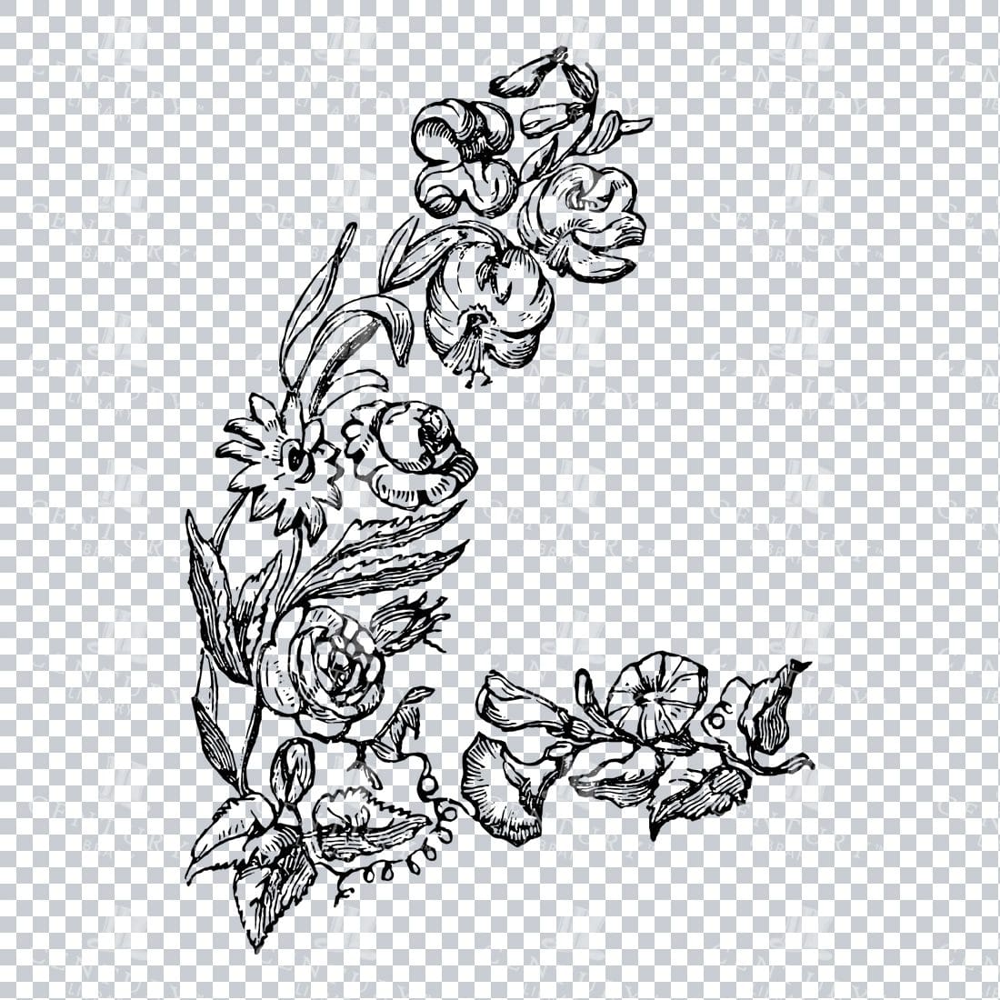 Vintage Decorative Line Art Illustration - Floral - Border - Frame - Pattern No.88