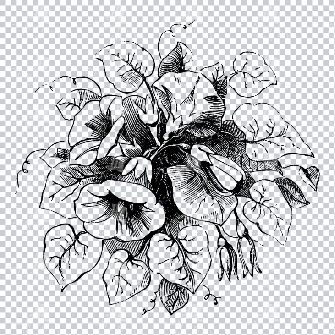 Vintage Decorative Line Art Illustration - Floral - Border - Frame - Pattern No.94