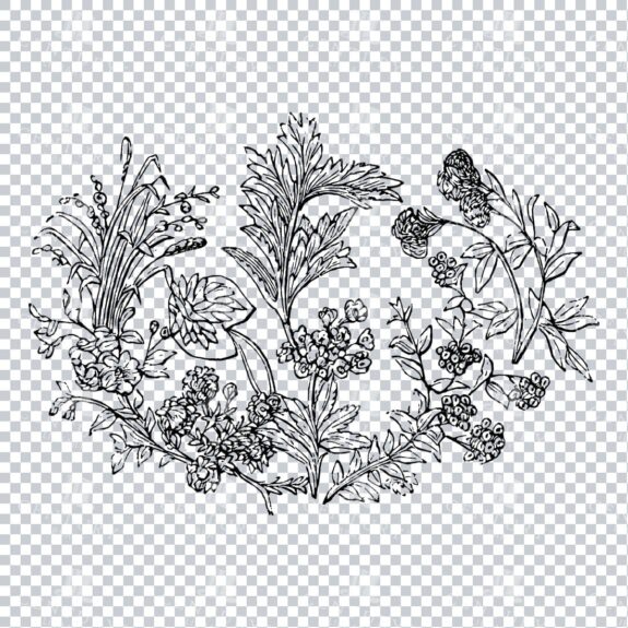 Vintage Decorative Line Art Illustration - Floral - Border - Frame - Pattern No.98