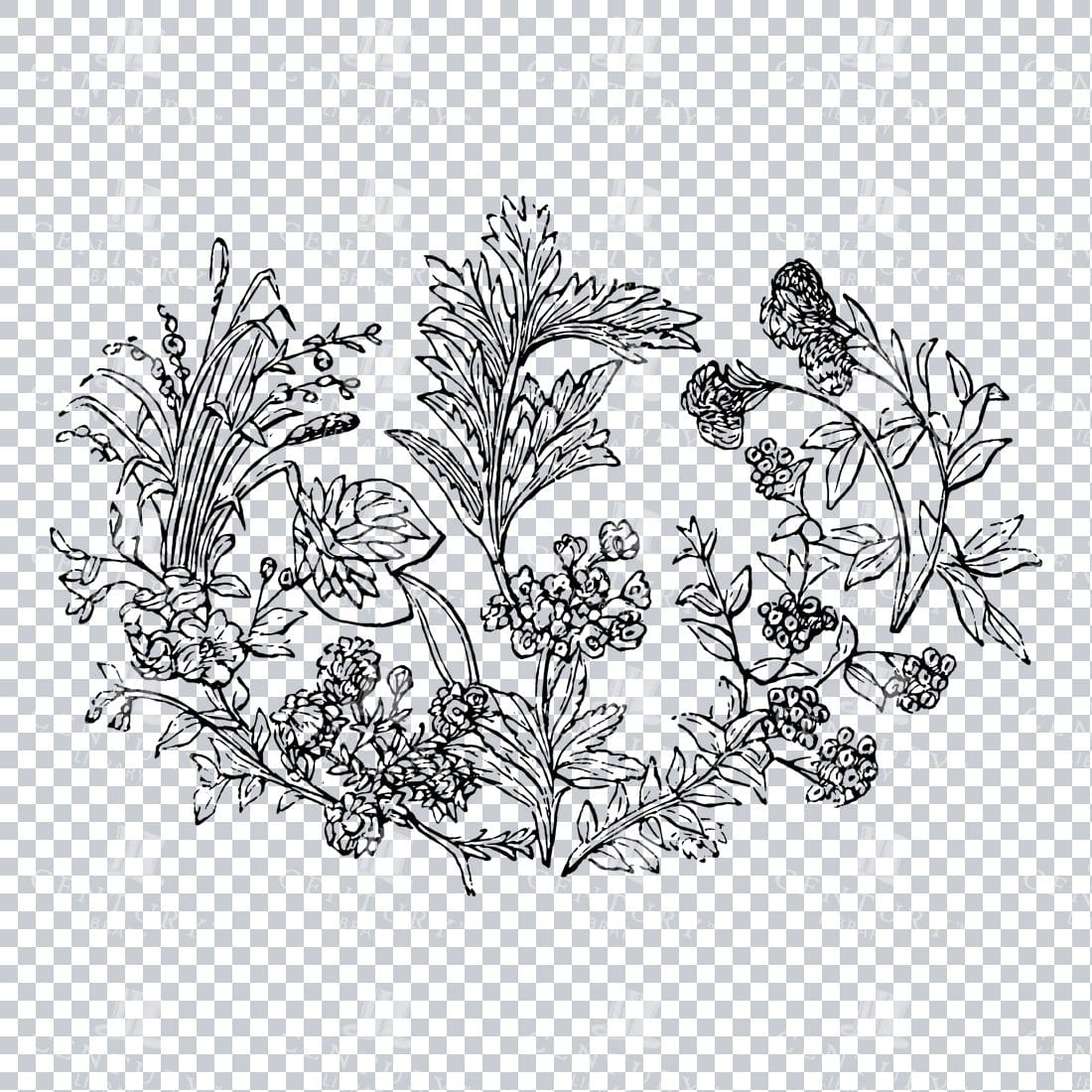 Vintage Decorative Line Art Illustration - Floral - Border - Frame - Pattern No.98