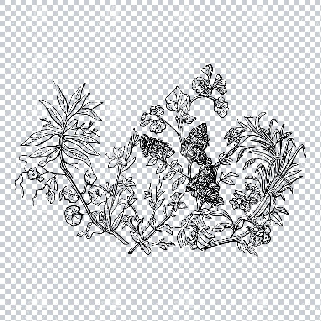 Vintage Decorative Line Art Illustration - Floral - Border - Frame - Pattern No.100