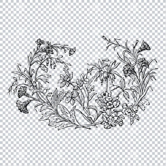 Vintage Decorative Line Art Illustration - Floral - Border - Frame - Pattern No.102