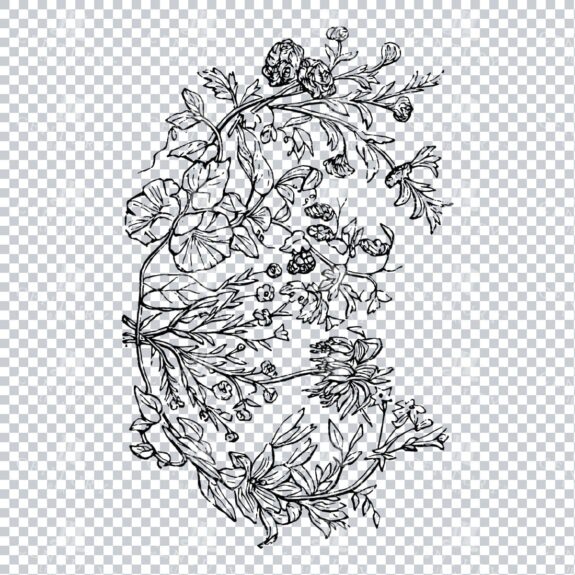 Vintage Decorative Line Art Illustration - Floral - Border - Frame - Pattern No.104