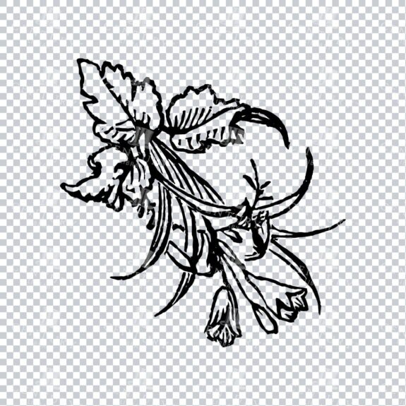 Vintage Decorative Line Art Illustration - Floral - Border - Frame - Pattern No.108
