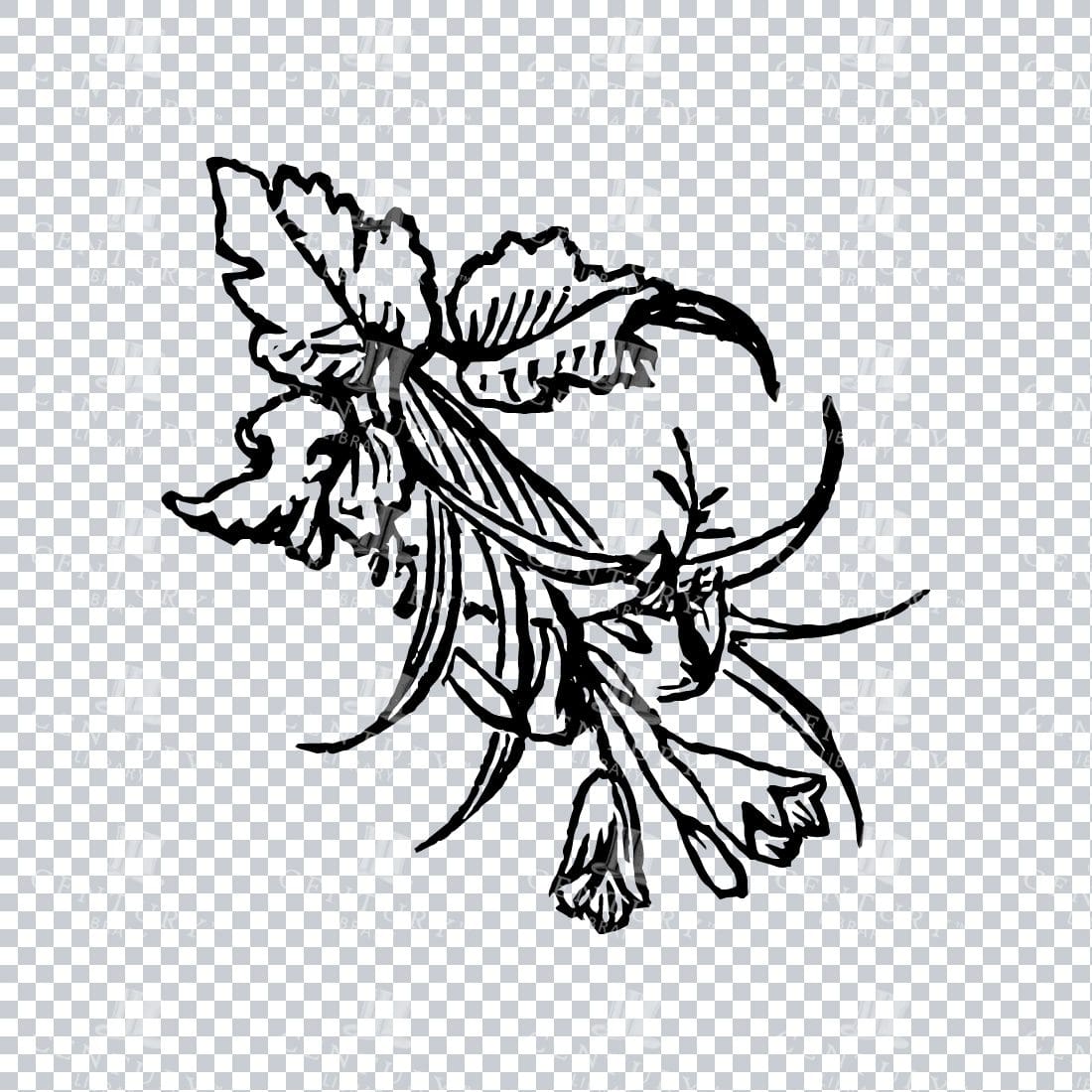 Vintage Decorative Line Art Illustration - Floral - Border - Frame - Pattern No.108