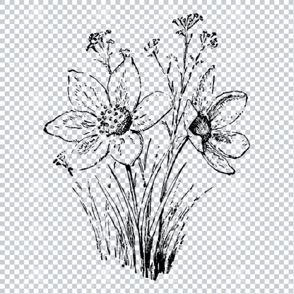 Vintage Decorative Line Art Illustration - Floral - Border - Frame - Pattern No.109