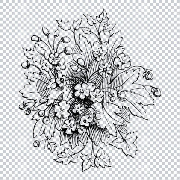 Vintage Decorative Line Art Illustration - Floral - Border - Frame - Pattern No.111