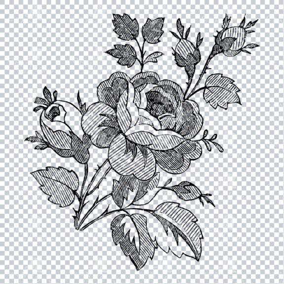 Vintage Decorative Line Art Illustration - Floral - Border - Frame - Pattern No.117