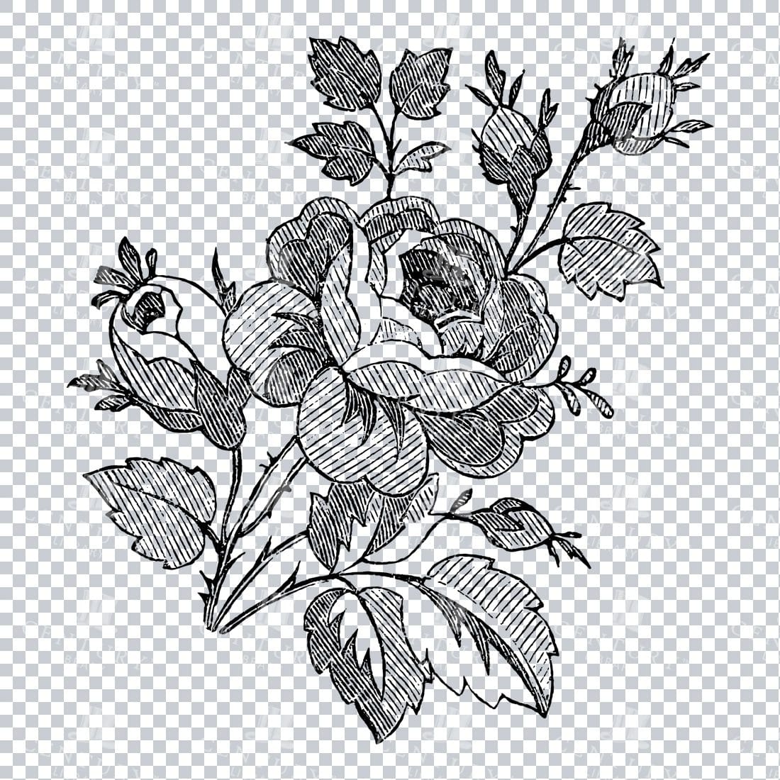 Vintage Decorative Line Art Illustration - Floral - Border - Frame - Pattern No.117