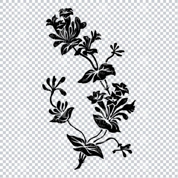 Vintage Decorative Line Art Illustration - Floral - Border - Frame - Pattern No.123