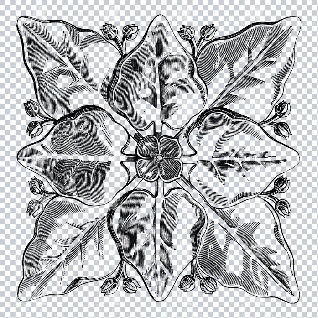 Vintage Decorative Line Art Illustration - Floral - Border - Frame - Pattern No.141