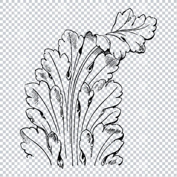 Vintage Decorative Line Art Illustration - Floral - Border - Frame - Pattern No.149