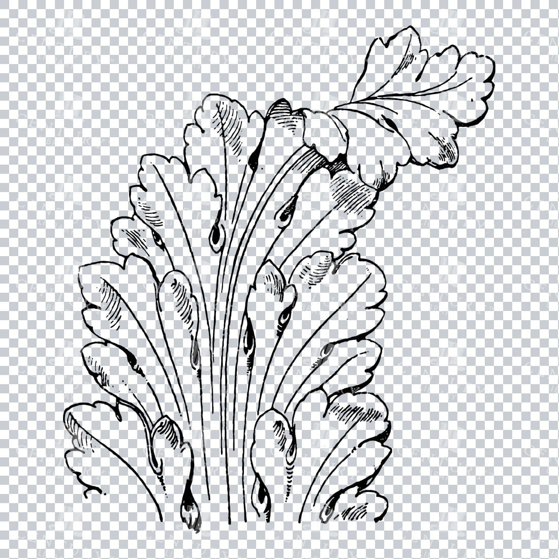 Vintage Decorative Line Art Illustration - Floral - Border - Frame - Pattern No.149