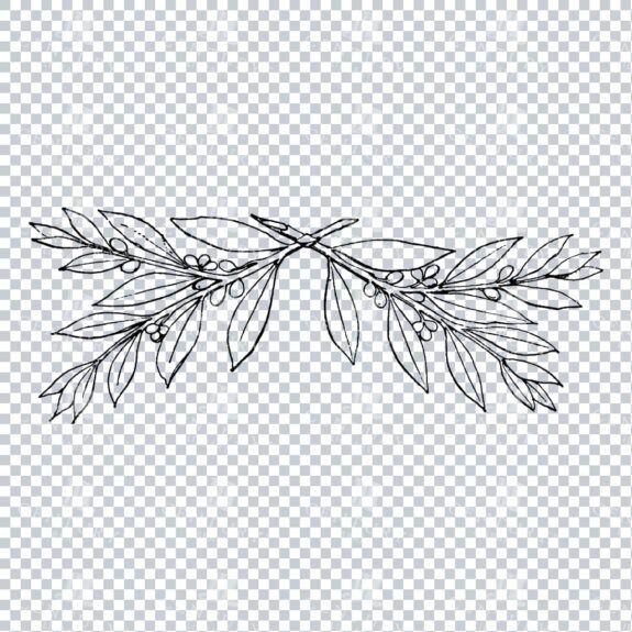 Vintage Decorative Line Art Illustration - Floral - Border - Frame - Pattern No.163