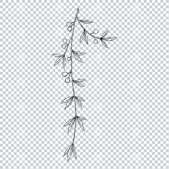 Vintage Decorative Line Art Illustration - Floral - Border - Frame - Pattern No.164