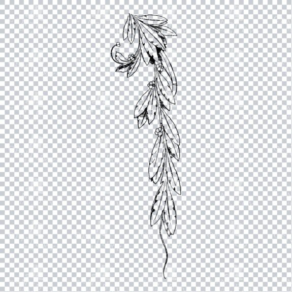 Vintage Decorative Line Art Illustration - Floral - Border - Frame - Pattern No.165