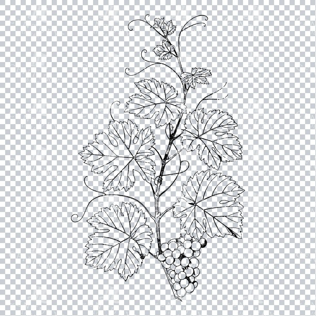 Vintage Decorative Line Art Illustration - Floral - Border - Frame - Pattern No.166