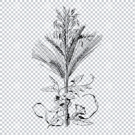 Vintage Decorative Line Art Illustration - Floral - Border - Frame - Pattern No.170
