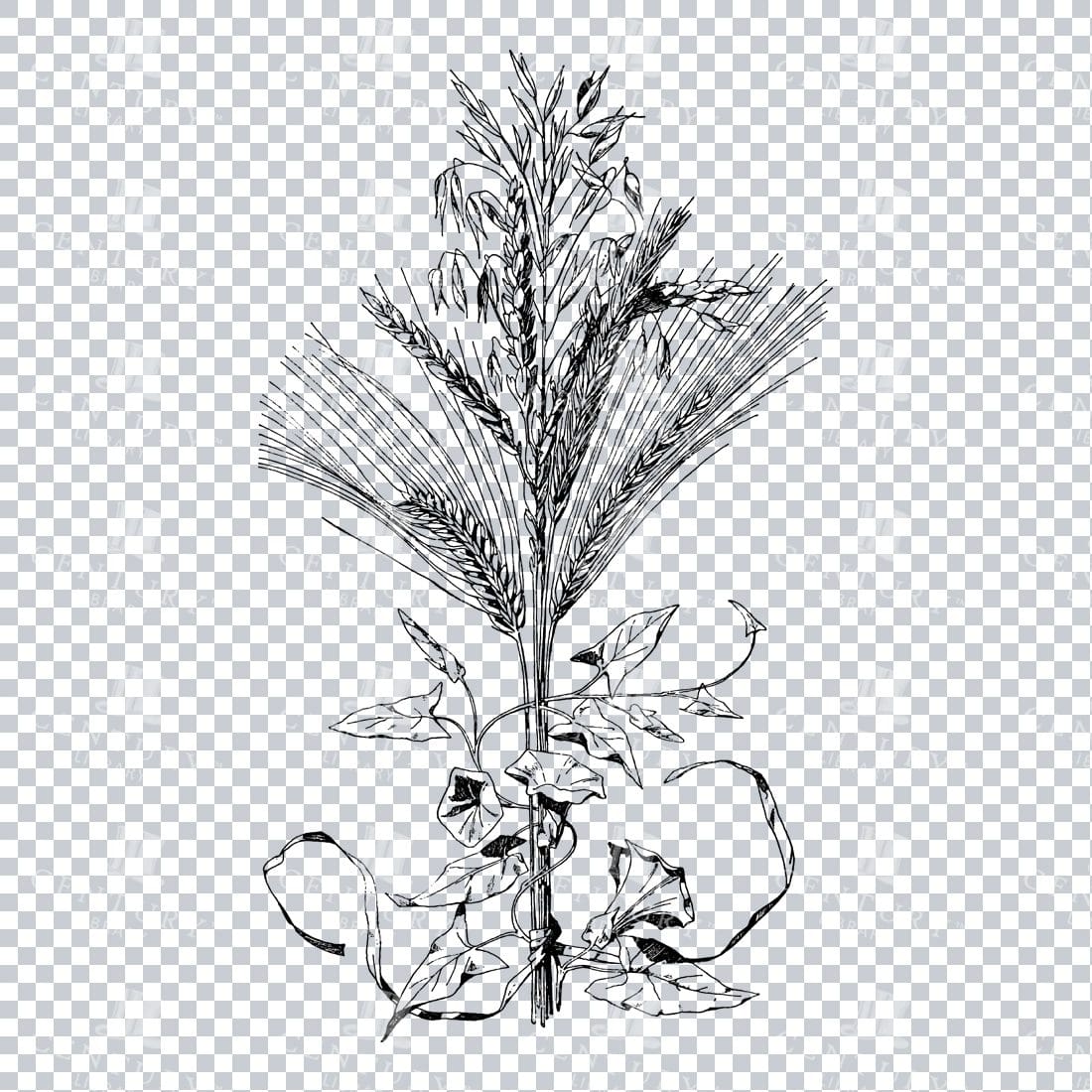 Vintage Decorative Line Art Illustration - Floral - Border - Frame - Pattern No.170