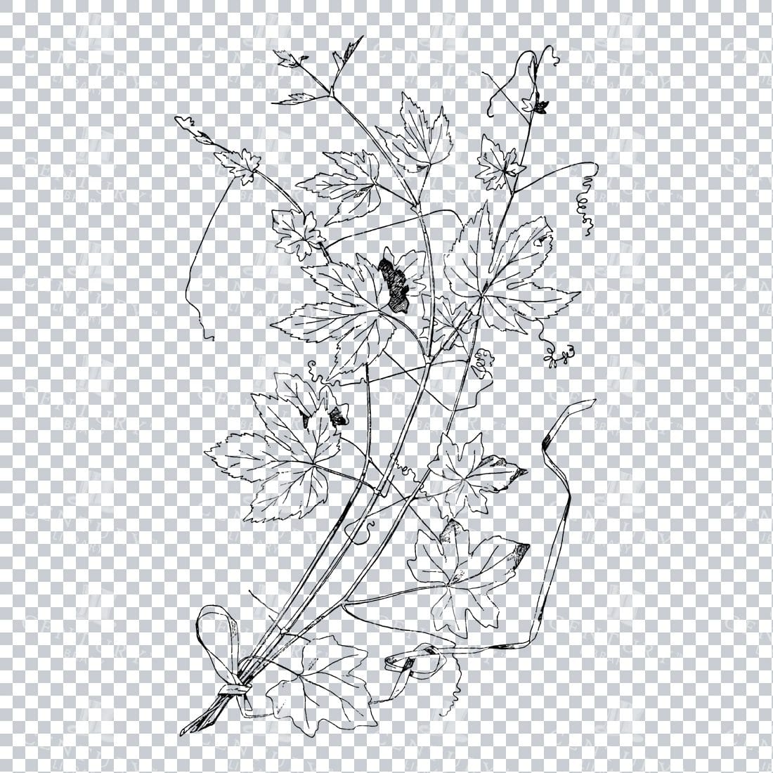 Vintage Decorative Line Art Illustration - Floral - Border - Frame - Pattern No.171