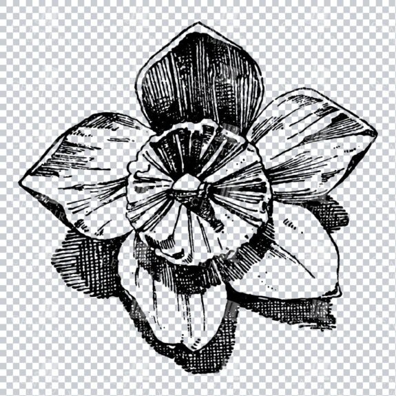 Vintage Decorative Line Art Illustration - Floral - Border - Frame - Pattern No.179