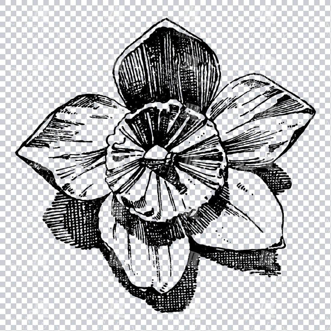 Vintage Decorative Line Art Illustration - Floral - Border - Frame - Pattern No.179