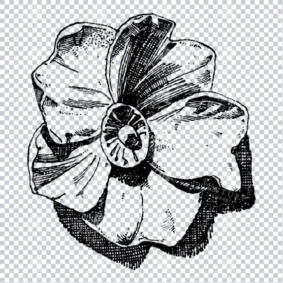 Vintage Decorative Line Art Illustration - Floral - Border - Frame - Pattern No.180