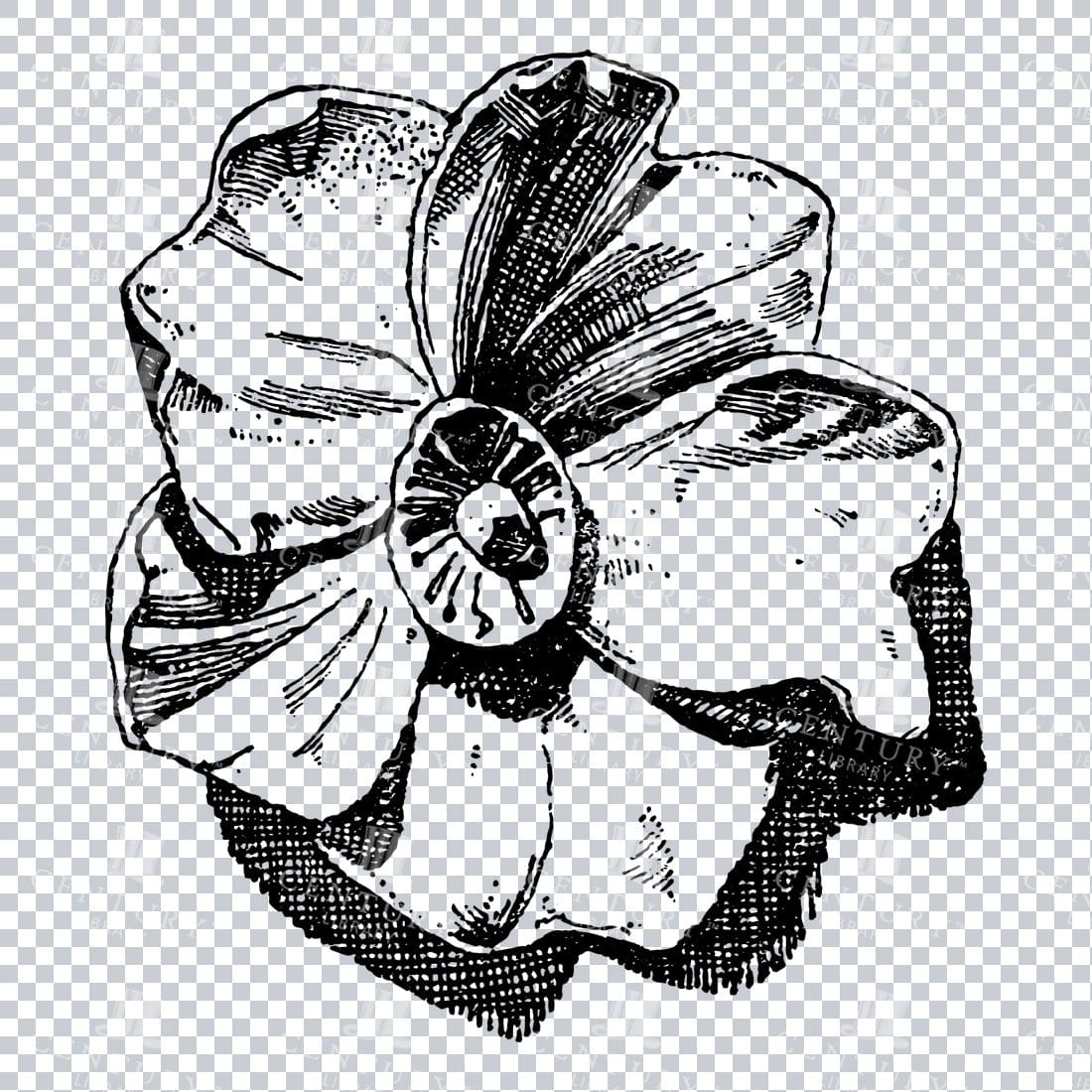 Vintage Decorative Line Art Illustration - Floral - Border - Frame - Pattern No.180