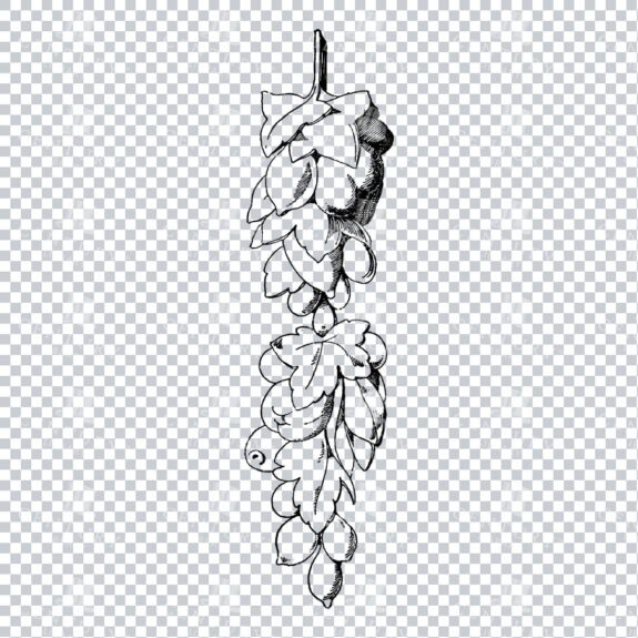 Vintage Decorative Line Art Illustration - Floral - Border - Frame - Pattern No.184
