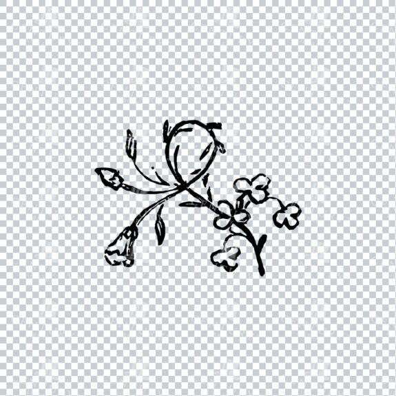 Vintage Decorative Line Art Illustration - Floral - Border - Frame - Pattern No.194