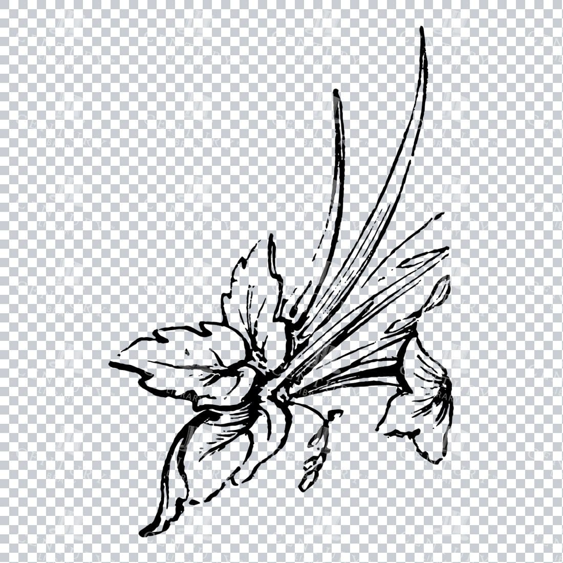 Vintage Decorative Line Art Illustration - Floral - Border - Frame - Pattern No.197