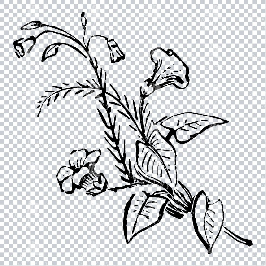 Vintage Decorative Line Art Illustration - Floral - Border - Frame - Pattern No.198