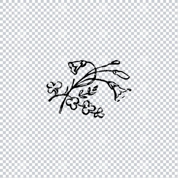 Vintage Decorative Line Art Illustration - Floral - Border - Frame - Pattern No.200