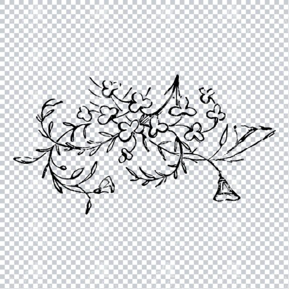 Vintage Decorative Line Art Illustration - Floral - Border - Frame - Pattern No.202