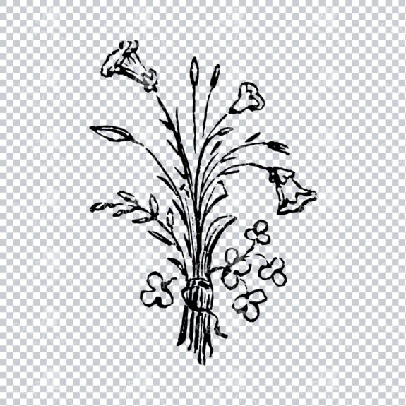 Vintage Decorative Line Art Illustration - Floral - Border - Frame - Pattern No.207