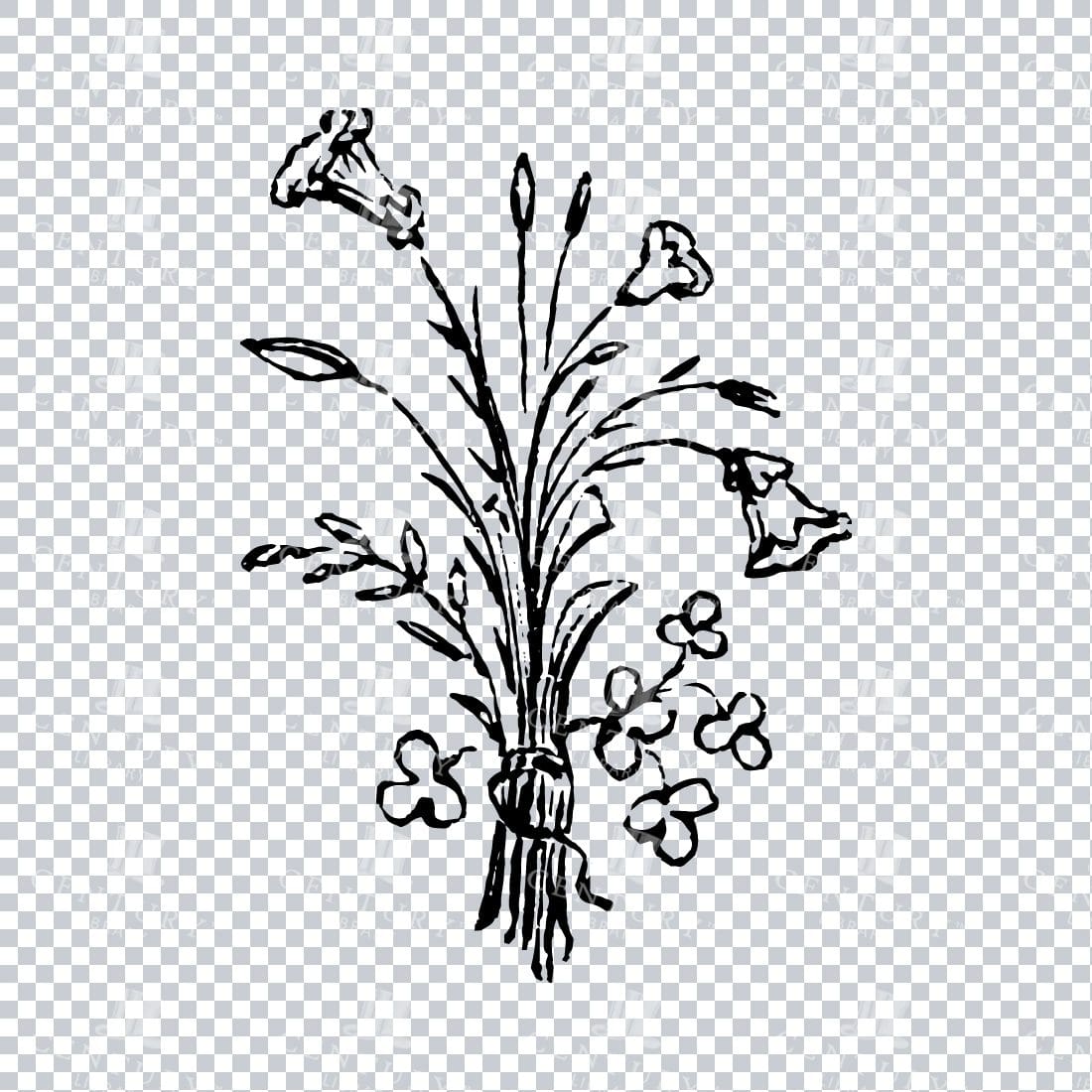 Vintage Decorative Line Art Illustration - Floral - Border - Frame - Pattern No.207