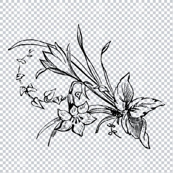 Vintage Decorative Line Art Illustration - Floral - Border - Frame - Pattern No.211