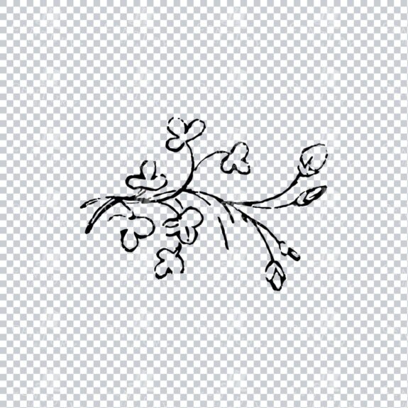 Vintage Decorative Line Art Illustration - Floral - Border - Frame - Pattern No.212