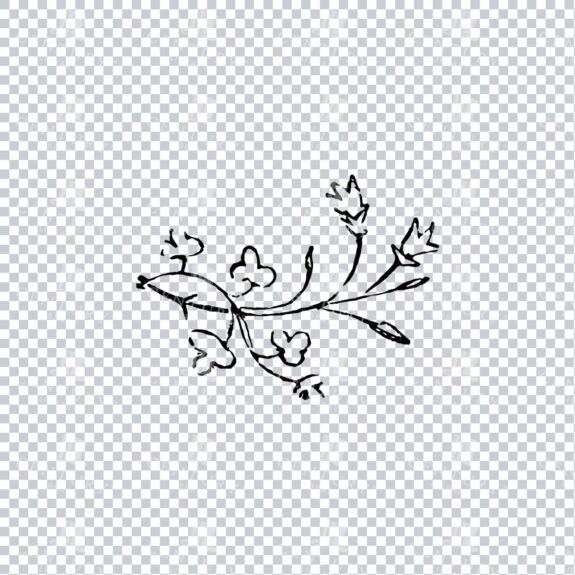 Vintage Decorative Line Art Illustration - Floral - Border - Frame - Pattern No.213