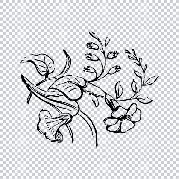 Vintage Decorative Line Art Illustration - Floral - Border - Frame - Pattern No.214
