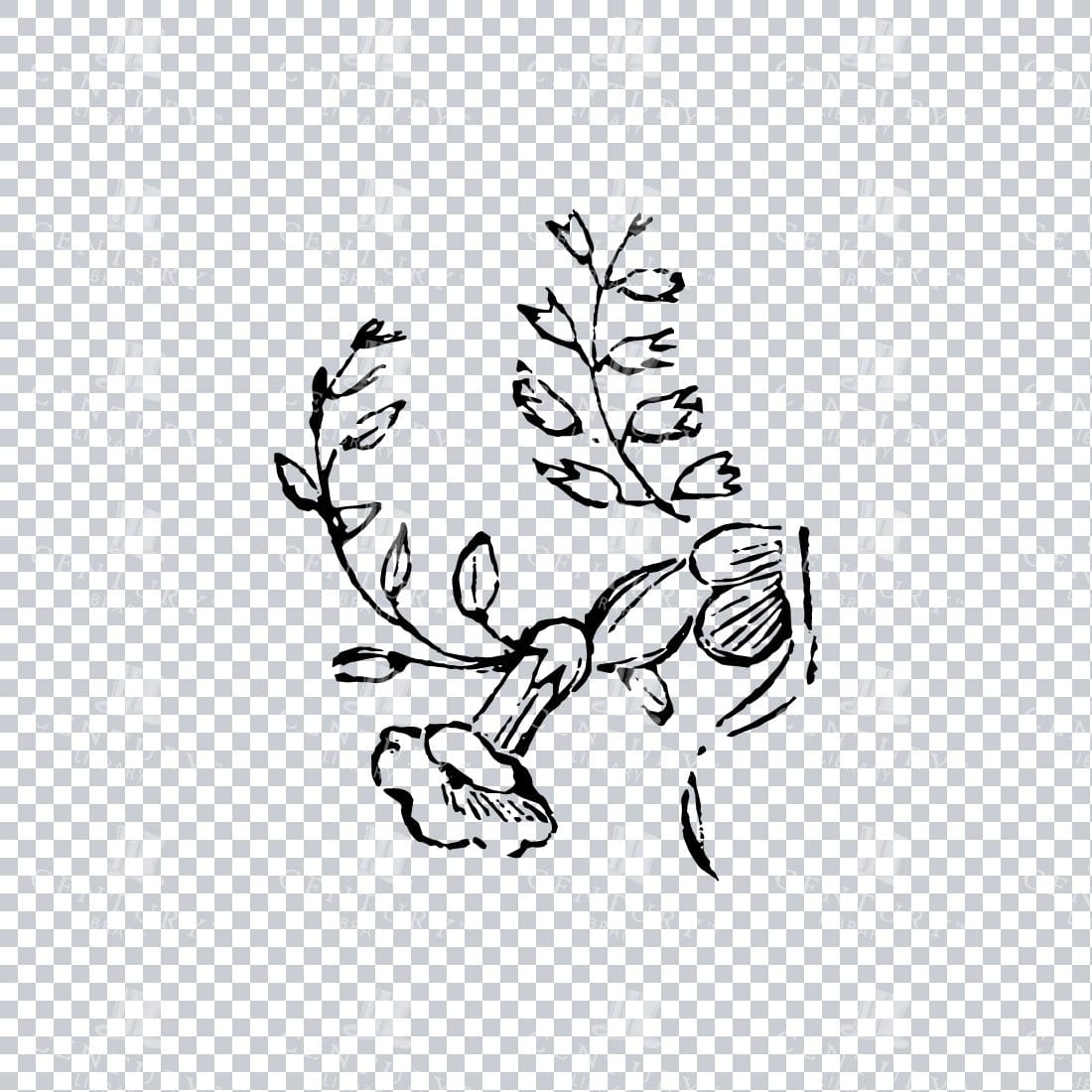 Vintage Decorative Line Art Illustration - Floral - Border - Frame - Pattern No.215